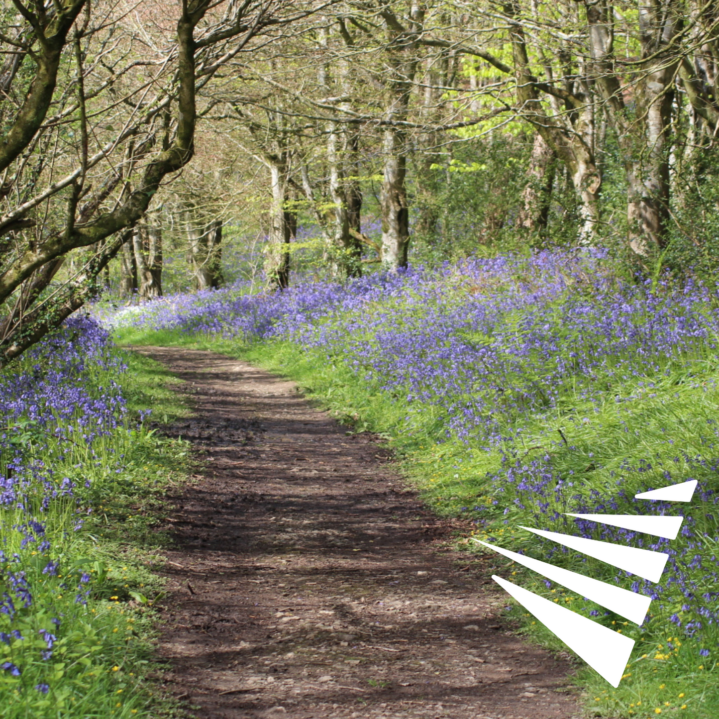 Perfect Picnic Hamper