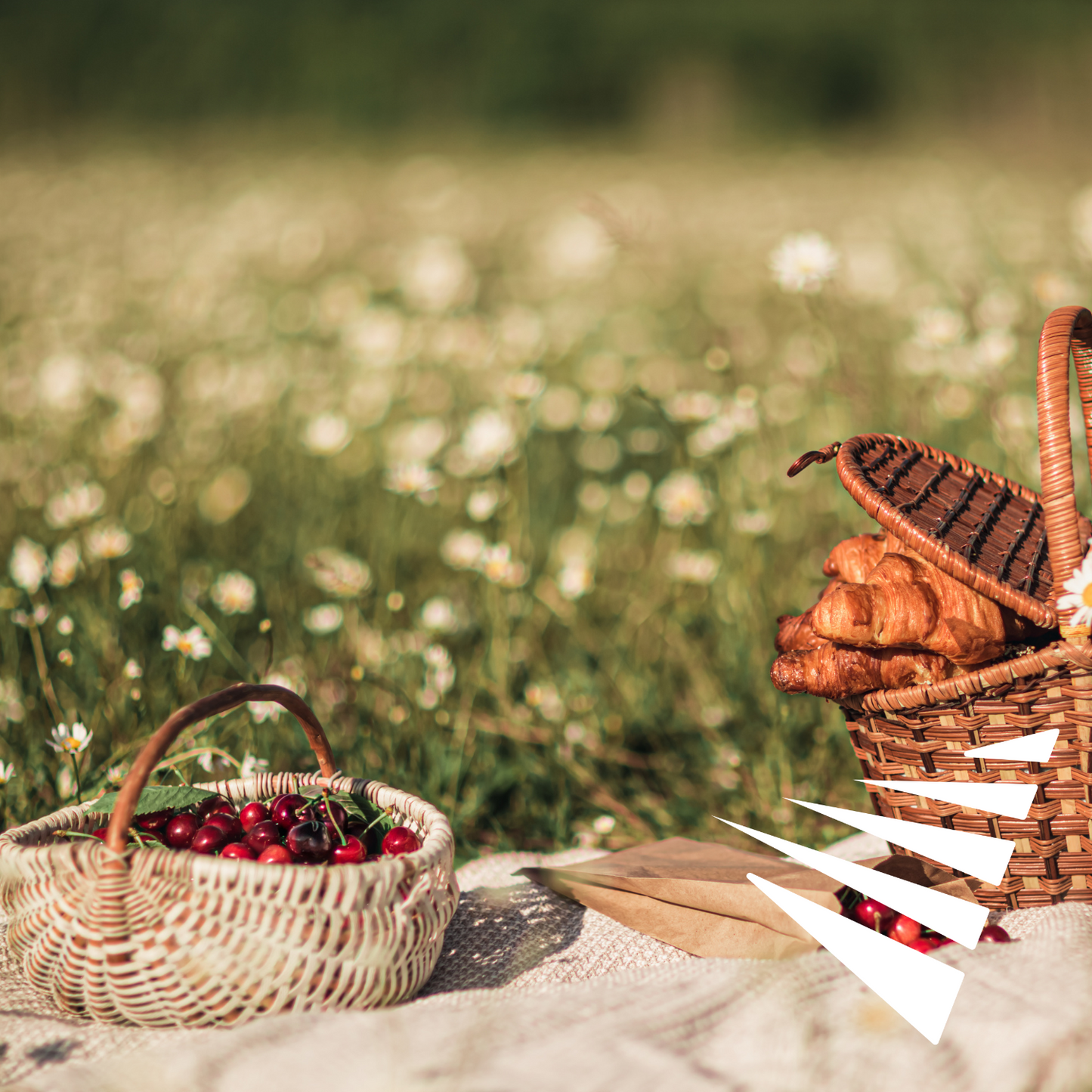 Perfect Picnic Hamper
